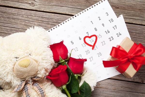 Ours en rose blanche : un symbole d'amour et d'élégance